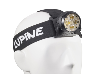 Lupine Wilma 7
